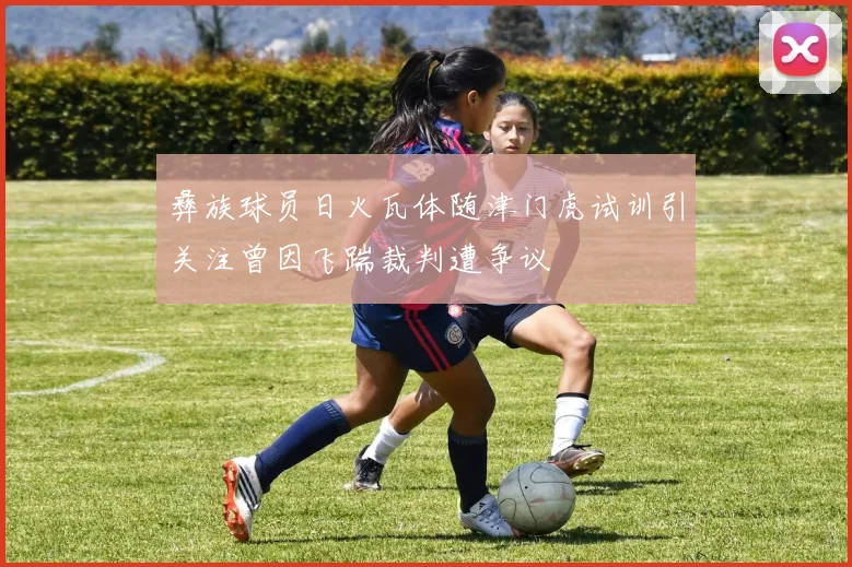 彝族球员日火瓦体随津门虎试训引关注曾因飞踹裁判遭争议