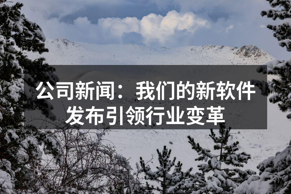 新软件界面展示
