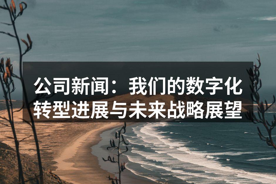 数字化转型项目讨论会