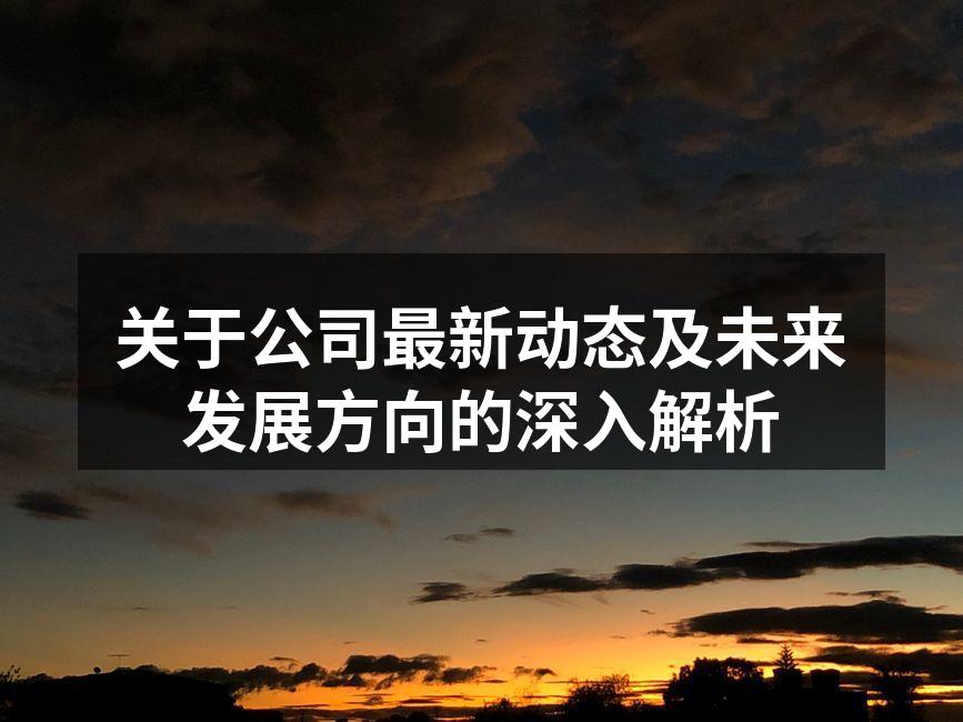 公司新产品发布会现场