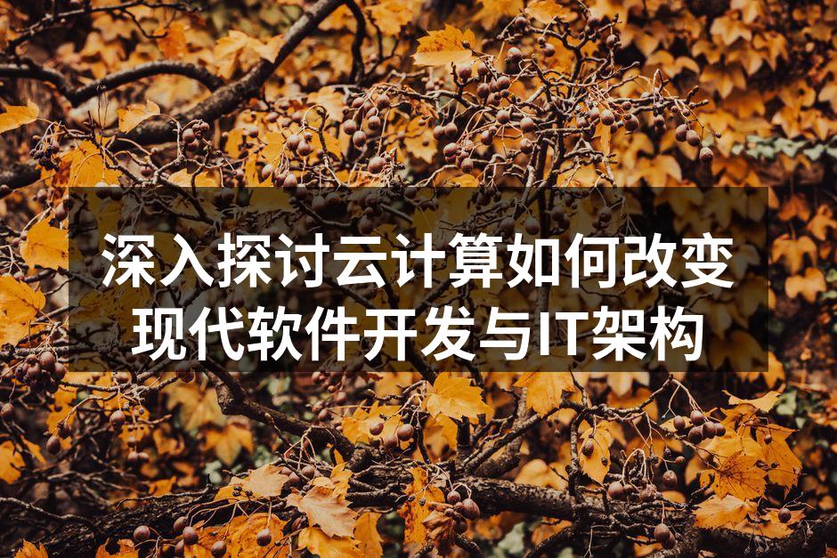 深入探讨云计算如何改变现代软件开发与IT